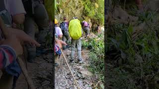 Langtang national park  Langtang trek  Risky bridge in trekking  Mountaineering in Nepal [upl. by Aicilav]