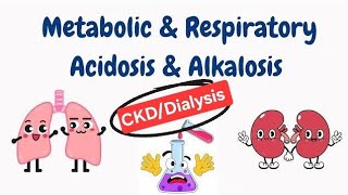 Acidosis Alkalosis Acid base balance in DialysisCkd patients metabolic acidosis [upl. by Bueschel]