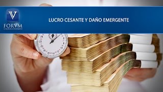 Lucro cesante y daño emergente DIAN Derecho Tributario [upl. by Hayouqes]