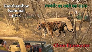 Ranthambore National Park tiger reserve 2023 [upl. by Alil]