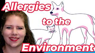 What YOU Should Know About Allergies  Vets Voice Atopic Dermatitis Part 1 [upl. by Imit202]