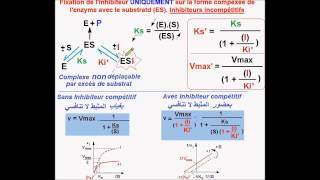 Enzymes Inhibiteurs incompétitifs version Fr [upl. by Nohsal]