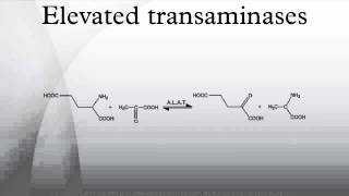 Elevated transaminases [upl. by Derfla]