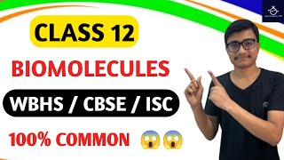 Biomolecules Chemistry Class 12 [upl. by Fradin]