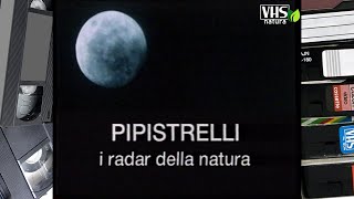 PIPISTRELLI i radar della natura [upl. by Brenton209]