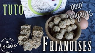 TUTO  FRIANDISES saines pour RONGEURS [upl. by Newel]