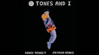 Tones and I  Dance Monkey Peyruis Remix [upl. by Treboh]