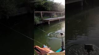 Right in front of the yak bassfishing kayakbassfishing nirvana music fish fishinggear reels [upl. by Casady]