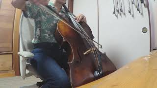 Downton Abbey Theme Song Cello Cover [upl. by Lysander]