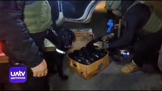 Perro entrenado permite incautar más de 60 kilos de marihuana que iban a traficarse en Temuco [upl. by Anaitsirk712]