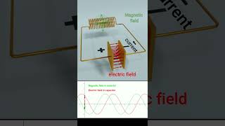 LC oscillator 3D visualization  class 12 IIT JEE concept  shorts [upl. by Donn303]