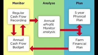 Holistic Planning Business Intro [upl. by Kutzer540]