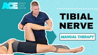 Tibial Nerve [upl. by Repmek]