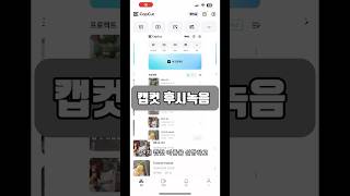 후시녹음 방법과 과정 텍스트 음성 변환 캡컷으로 가능합니다 [upl. by Fergus842]