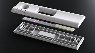 DCN Diagnostics Lateral Flow Assay Development [upl. by Cecilius532]