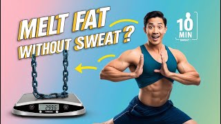 Somatic Yoga Melt Fat Without Sweat 5 Easy Exercises for Weight Loss [upl. by Nickey]