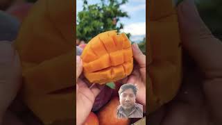 Enjoy beautiful fruit cation fruit satisfying carvingfruit fruitcarvingorange fruitcutting [upl. by Hound]