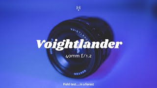 Voigtländer Nokton 40mm F12out in the field Forest test [upl. by Ybroc]