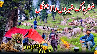 ğŸ˜±Sabse Khatarnak Jungle Main Bakarwal Ke Sath CampingBakarwal khanabadoshEP13 [upl. by Anelec]