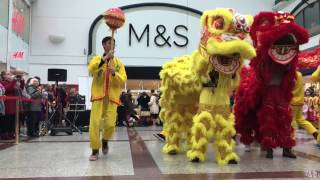 Chinese New Year Dragon Dance [upl. by Townie]