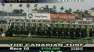 The Canadian Turf Stakes Grade III [upl. by Sesmar]