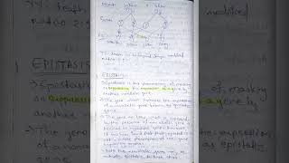 Lethal alleles and Epistasis epistasis bsczoology biology zoologynotes notes [upl. by Ariak]