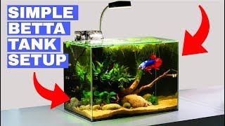 Building a Simple Betta Tank TUTORIAL [upl. by Ttezil]