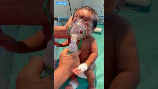 Proper Way of Nebulisationmedical newbornbaby viralvideo [upl. by Isaacs]