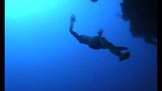 William Trubridge freedives THE ARCH at Blue Hole Dahab [upl. by Dam901]