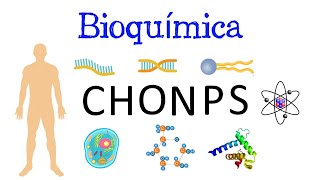 🧬 ¿Qué es la Bioquímica ⚗️ Y su IMPORTANCIA 🧫 Fácil y Rápido  BIOLOGÍA  QUÍMICA [upl. by Cozza]