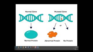 GPB 301  Date18012021  Mutation of Chromosomes  Arif Sir [upl. by Idnaj395]