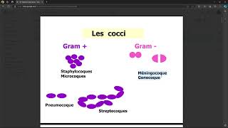 Bacteriologie  Staphilocoque Aureus FMPC [upl. by Bernardi]