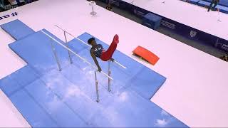 Fred Richard USA  Parallel Bars  2023 World Gymnastics Championships  Mens All Around Final [upl. by Leissam]