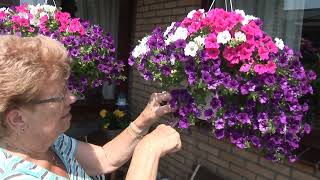 Onze buren verzorgen hun plantjes met liefde [upl. by Akisey]