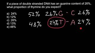 How to find percent of the bases in DNA 2 [upl. by Farrar]