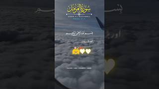 Surah Al Muzzammil status shorts ytshorts alika fatima [upl. by Erusaert]