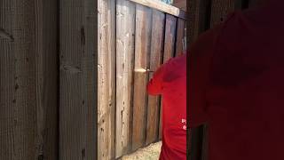 Fence Staining with our Avanti Airless Paint Sprayer from harborfreight [upl. by Audris673]