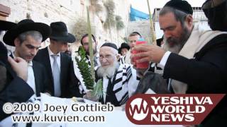 HaRav Chaim Pinchas Scheinberg bentching Lulav and Esrog at the Kosel [upl. by Onailimixam]