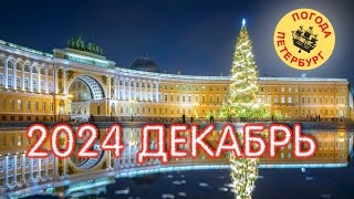 20241202 Погода Петербург 0839 4° Об особенностях езды в автомобиле зимой [upl. by Tuppeny708]