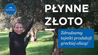 Płynne złoto  poznaj tajniki produkcji greckiej oliwy  GRECOS [upl. by Berardo]