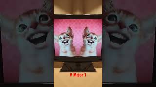 Preview 2 Numa Cat In V Major 1 [upl. by Nivanod]