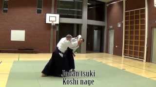 1ste kyu exameneisen in beeld  Aikido Kyorakukan [upl. by Yniattirb645]