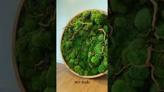 Preserved moss wall art  The best way to make your personal space for better mental health [upl. by Oz]