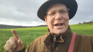 Cover crops Nov 23 [upl. by Brodie]