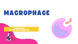 Macrophage [upl. by Roddie612]