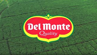 Fresh Del Monte Produce Inc Corporate Video [upl. by Chanda]