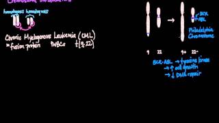 Chromosomal Translocations [upl. by Ahsaekal]