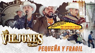 Los Viejones de Linares feat LosRuidososDeNuevoLeon Pequeña y Frágil [upl. by Ettennor]