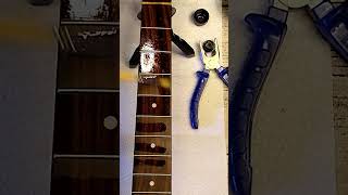 Satisfying Guitar Restoration in Under 1 Minute  Surprise Guest 🎸🐻 GuitarRestoration [upl. by Kcirddor]