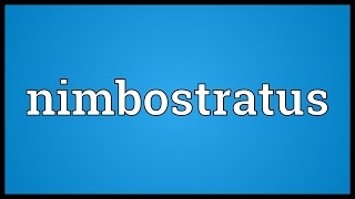 Nimbostratus Meaning [upl. by Don]